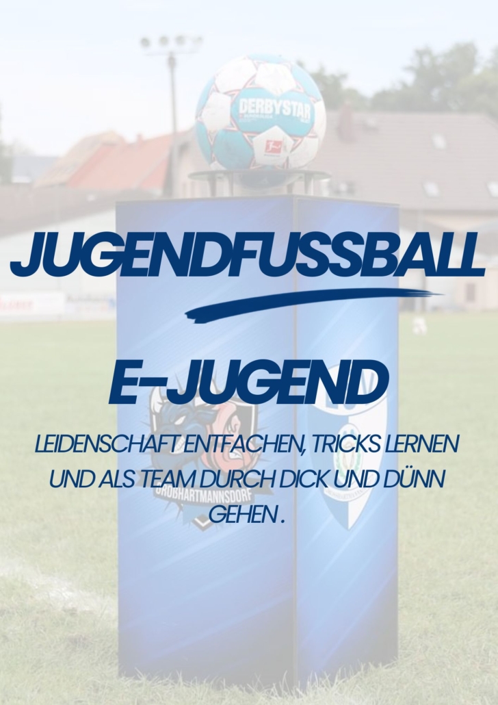 Homepage-Beitragsfoto E-Jugend